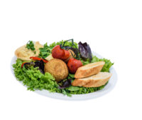 Falafel so šalátom begetkou a hummusom